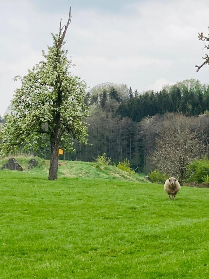 Ferienwohnung Gut Kalkhäuschen, ein Ort mit Geschichte Aachen Exterior foto
